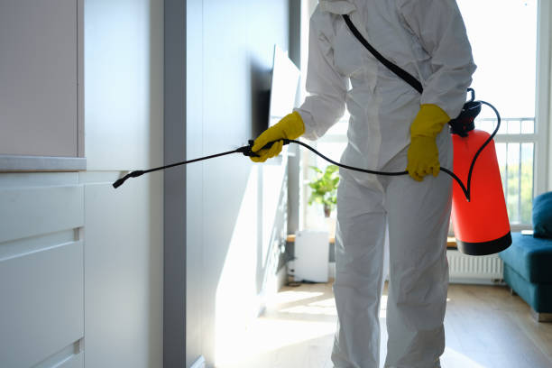 Best Mold Removal Company Near Me  in Toledo, OH