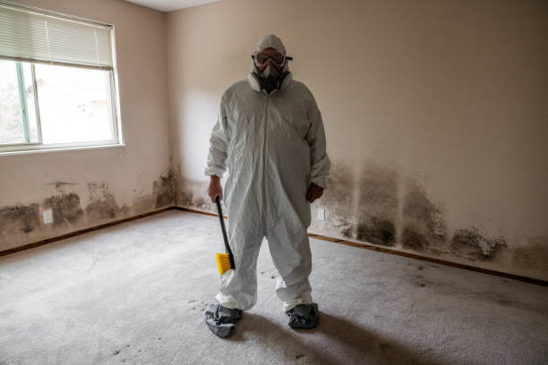 Mold Testing and Removal in Toledo, OH